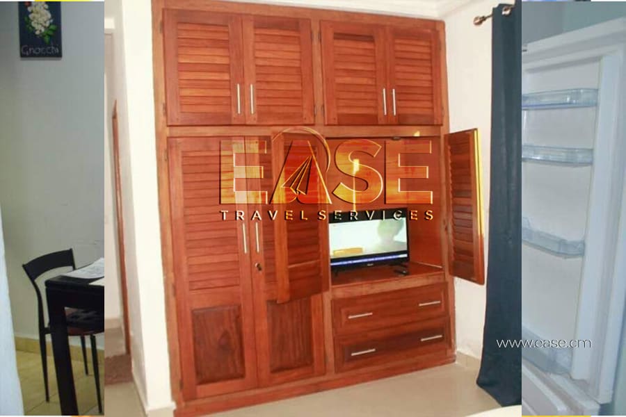 Very Nice Apartment furnished Belgian color salon - Douala Ndogbong 10