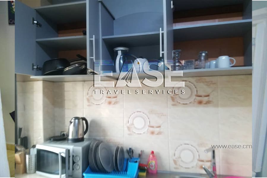Très Bel Appartement meublé salon orange - Douala Ndogbong 9