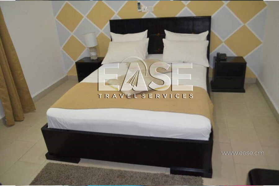 Very Nice Apartment furnished Belgian color salon - Douala Ndogbong 11