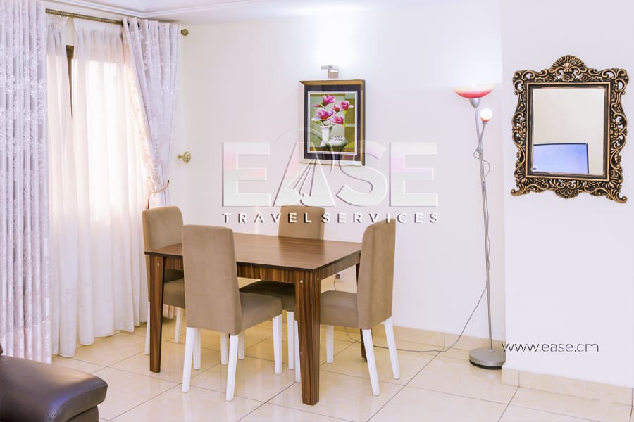 Bel appartement 2 chambres LP - Douala, Bonapriso 6
