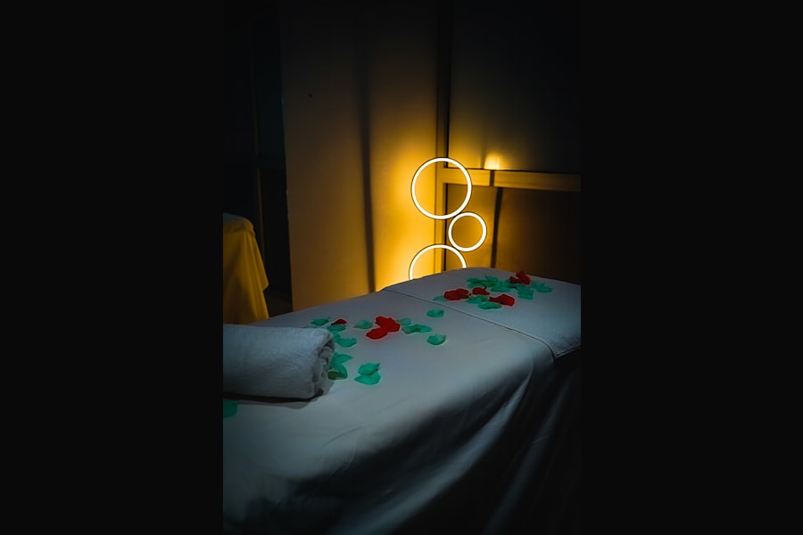 Hotel Bano Palace 45