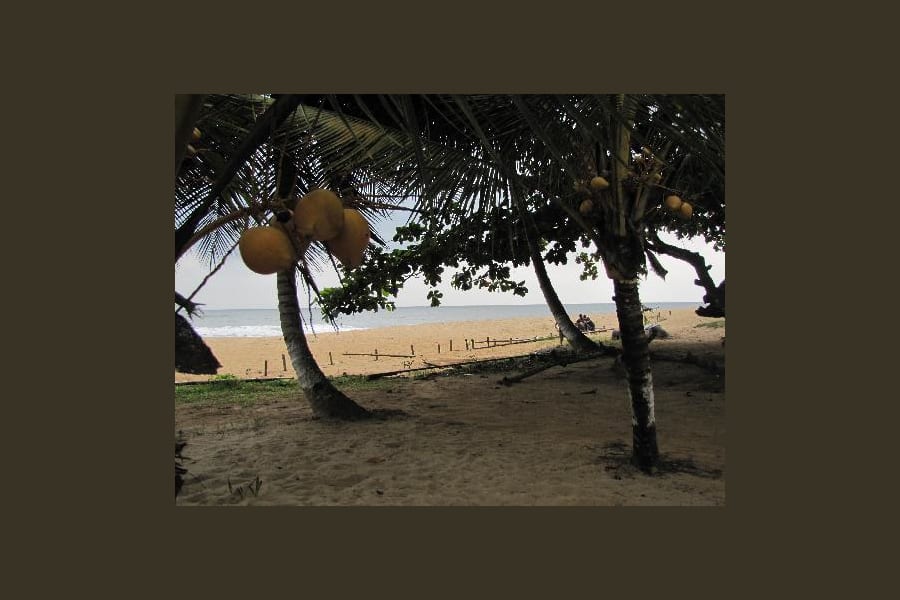 Tara Plage 11