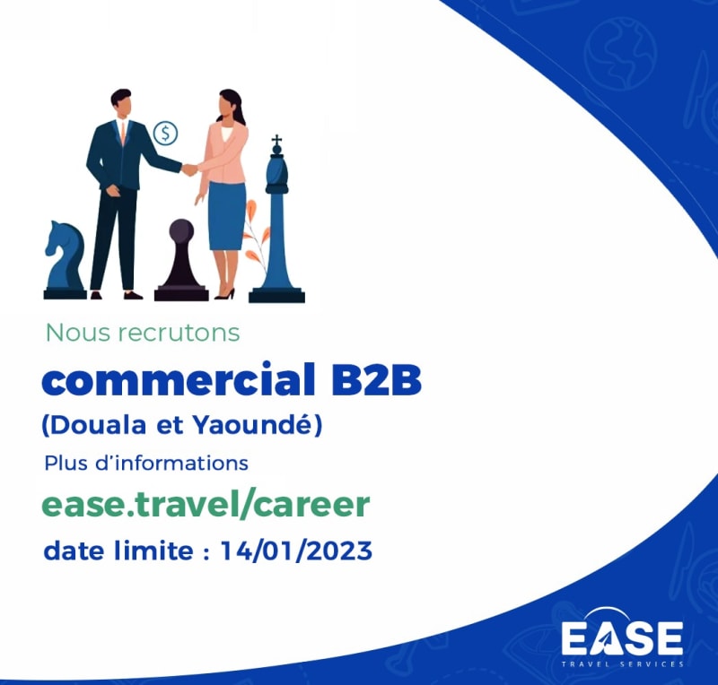 Commercial B2B - Douala/Yaoundé (H/F)