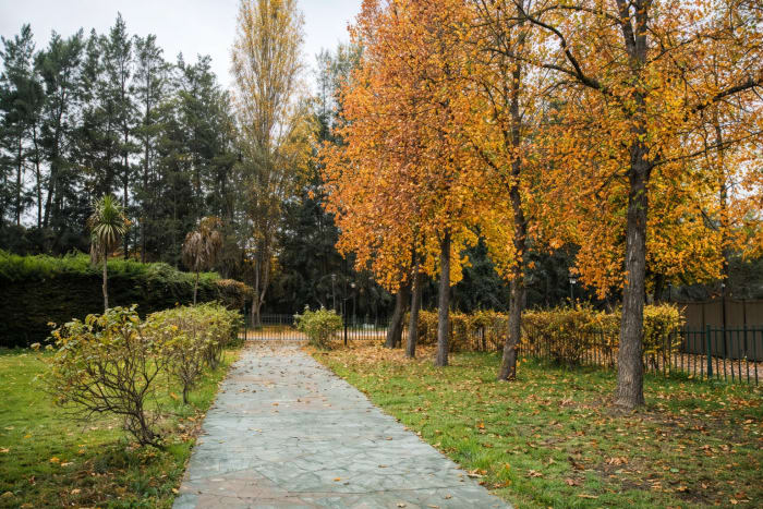 Barrancón Eventos - Evento corporativo