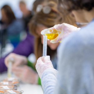 Full Day Soap and Candle Making Experience with Lunch near York