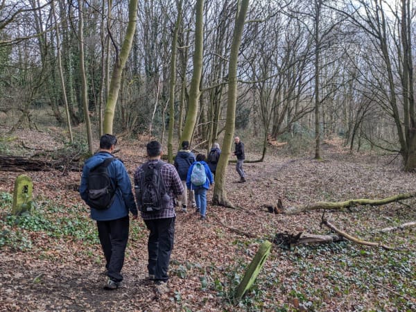 Introduction to Foraging Experience in Sheffield