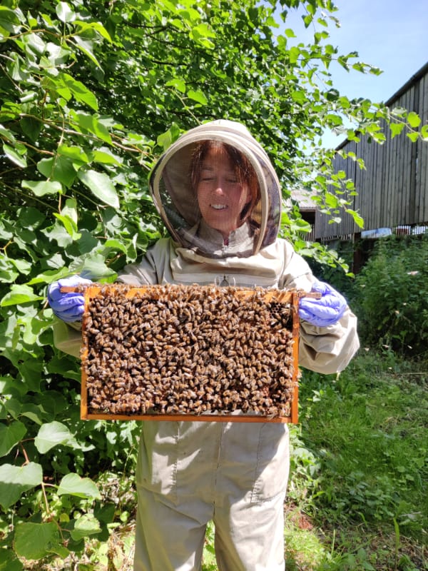 sally - beekeeping