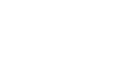 Wingo