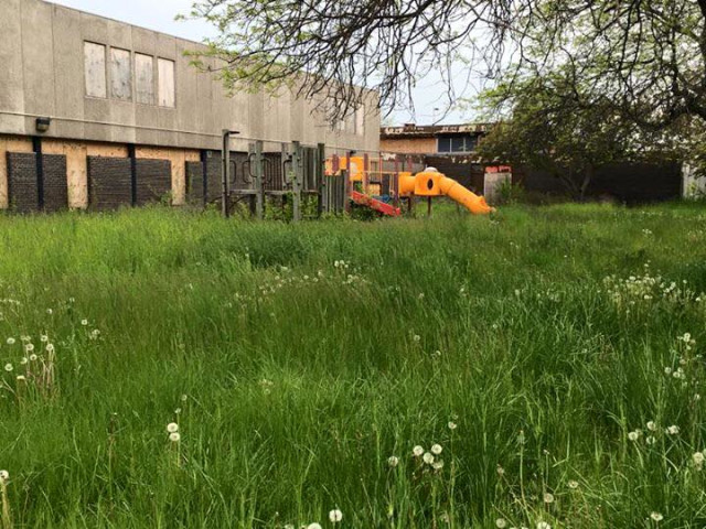 Detroit Mower Gang Here is a picture of a playground when we arrive.