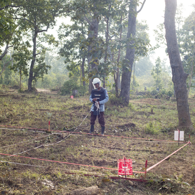 Travis Hodges Rats can each search 200 square metres in just 20 minutes. Humans using metal detectors would take five days to cover the same ground.