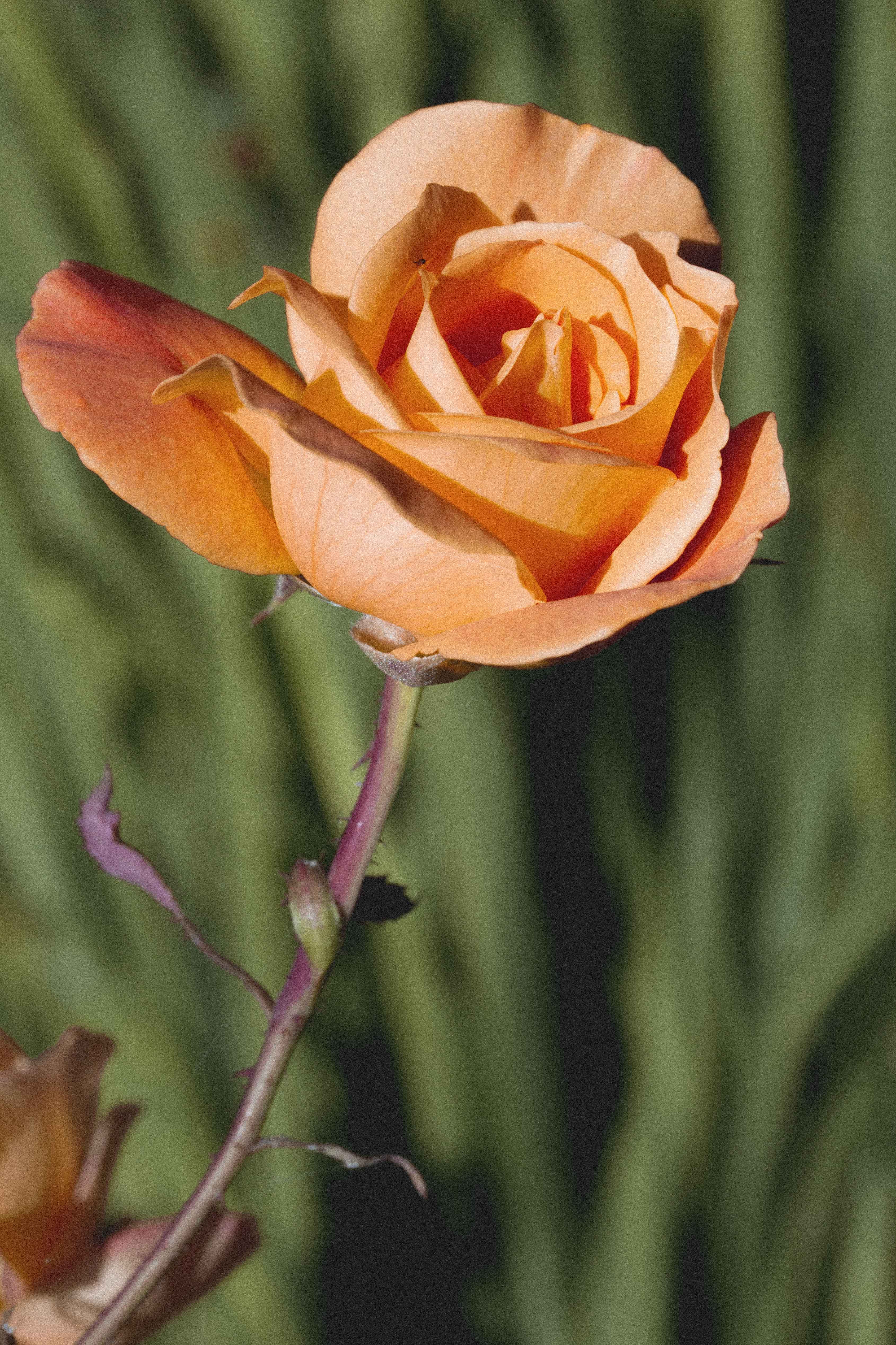 product-photographer-manchester