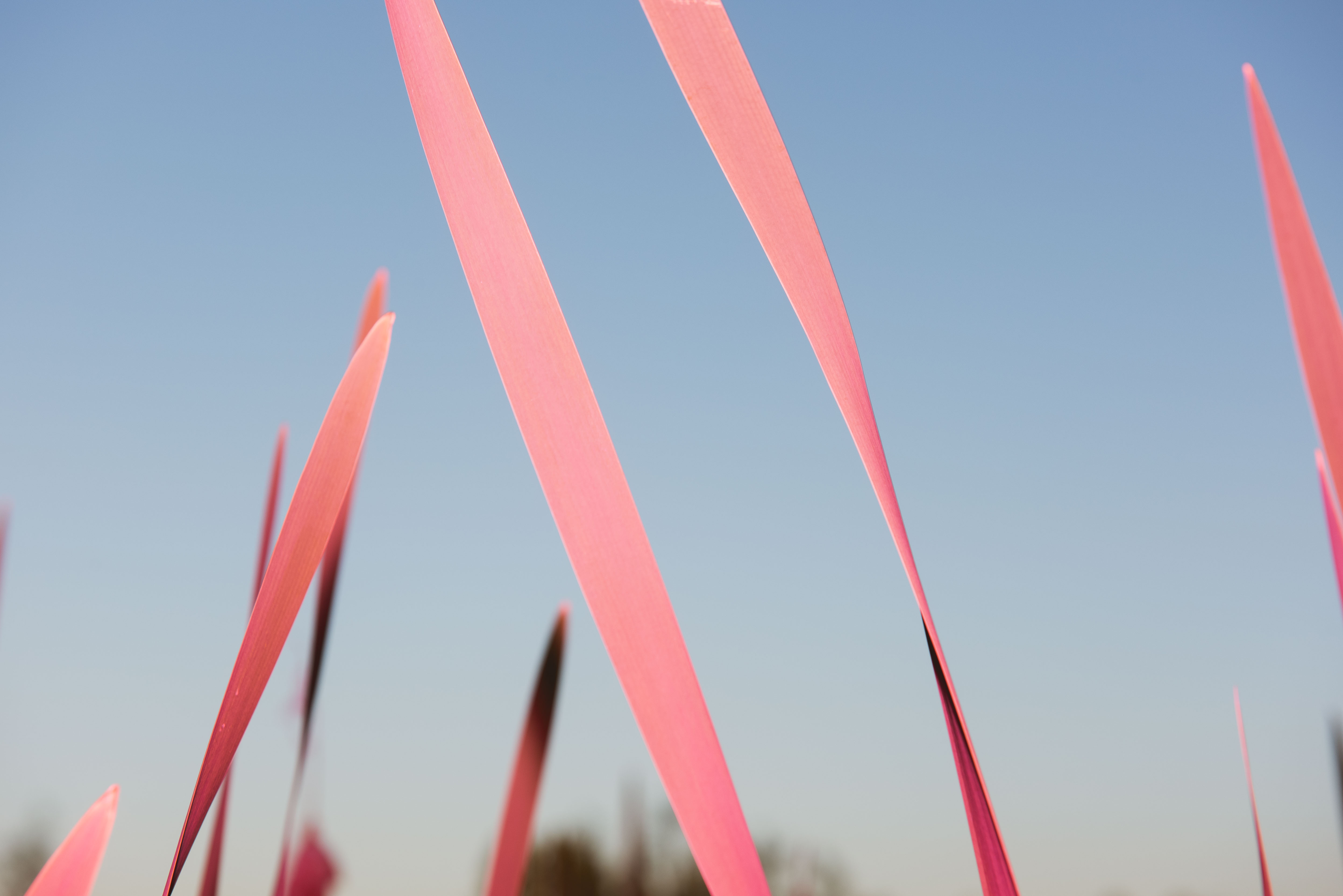 product-photographer-manchester