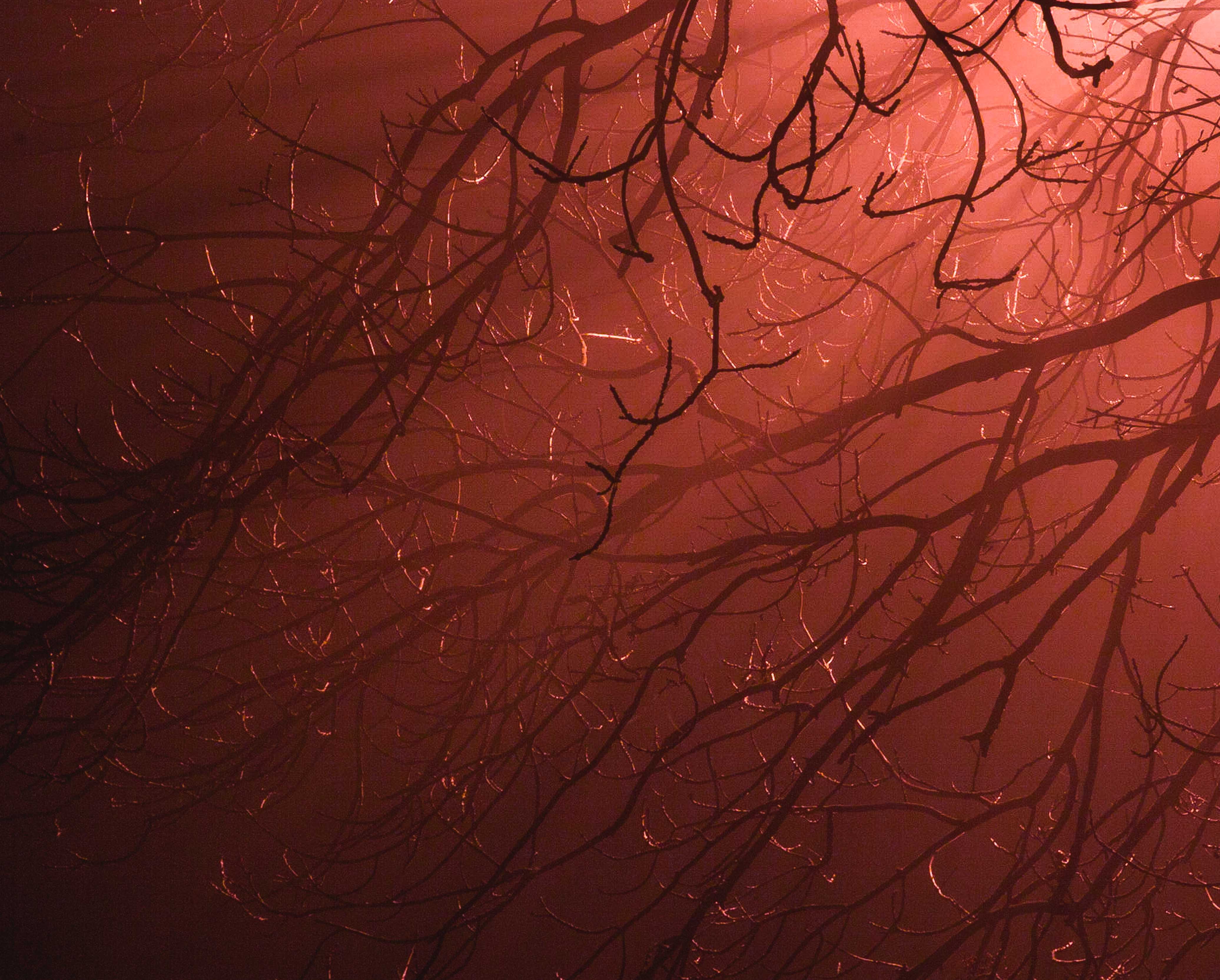 product-photographer-manchester