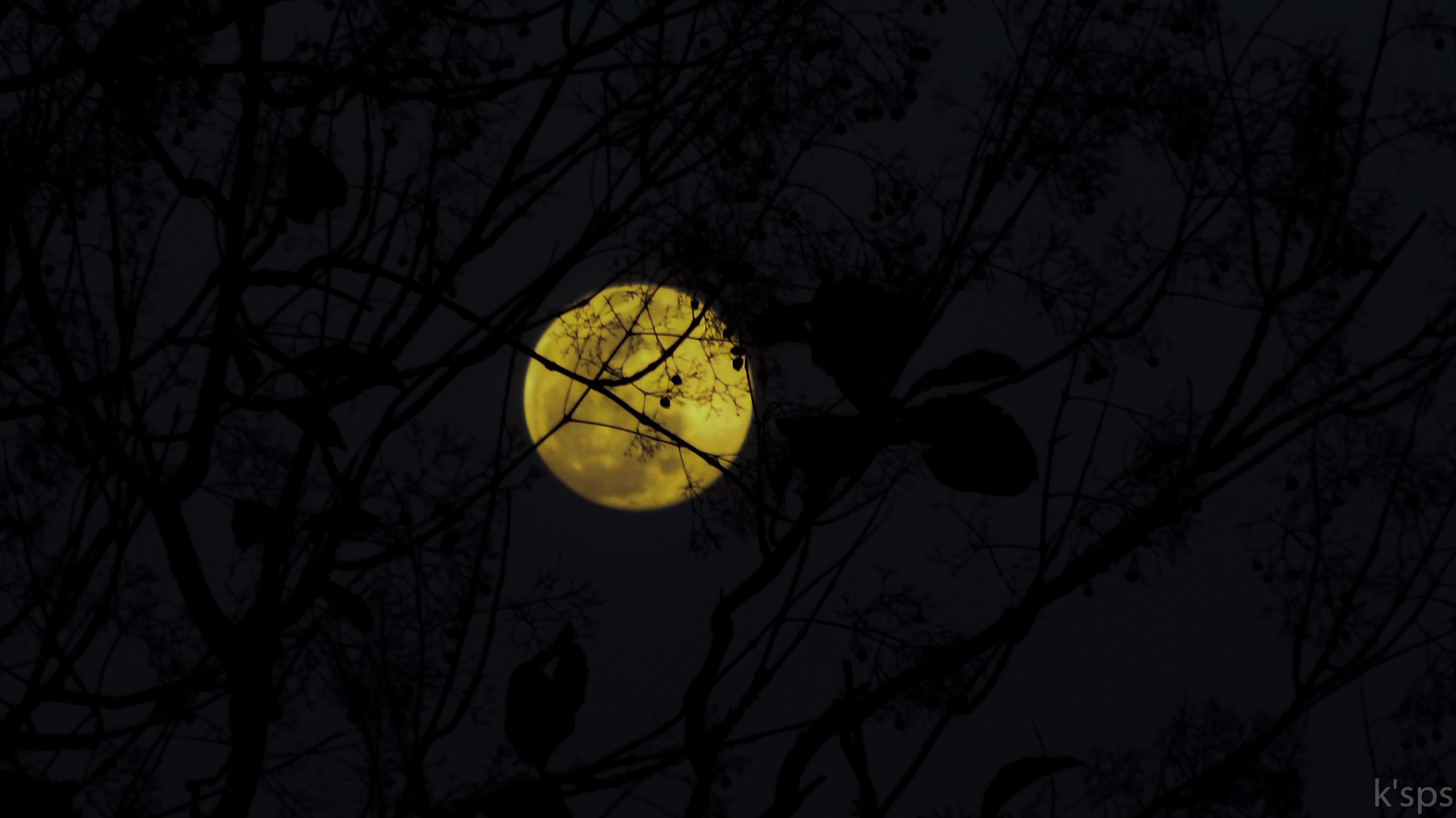 Photo by kushagra