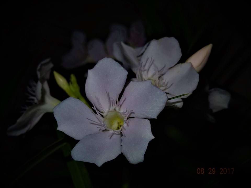 Photo by kushagra