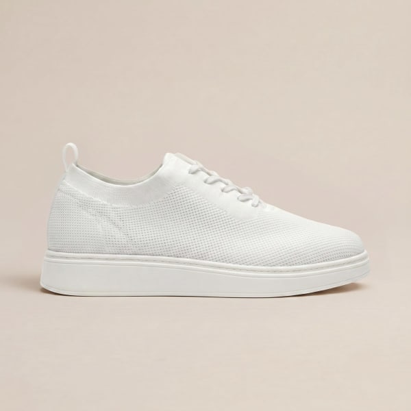 Farell Brooklyn Kross 456T