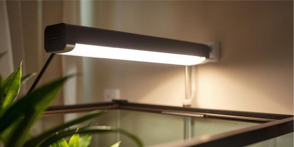 Professional T5 HO linear UVB tube light properly mounted above reptile enclosure at correct distance