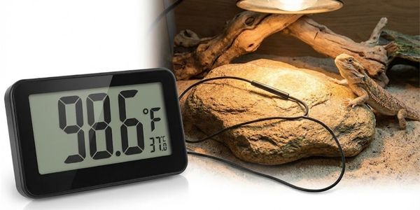 Digital thermometer with probe displaying temperature reading inside reptile enclosure