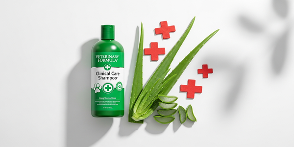 Veterinary Formula Clinical Care Antiseptic and Antifungal Shampoo bottle