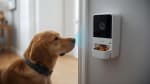 5 AI Pet Cameras With Treat Dispensers Every Anxious Dog Owner Needs