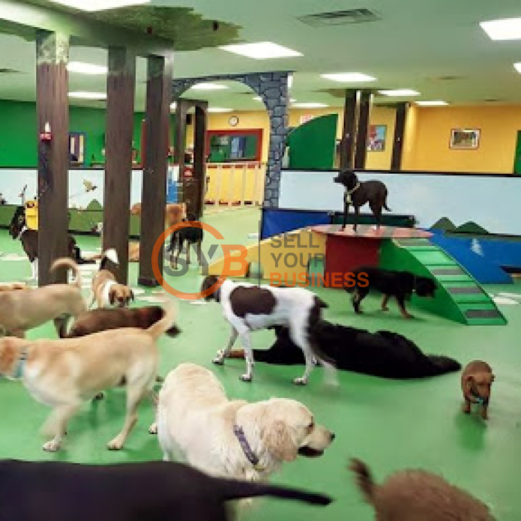 SYB Sell or buy a business in UAE