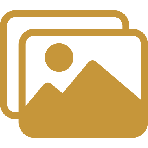 Gallery module