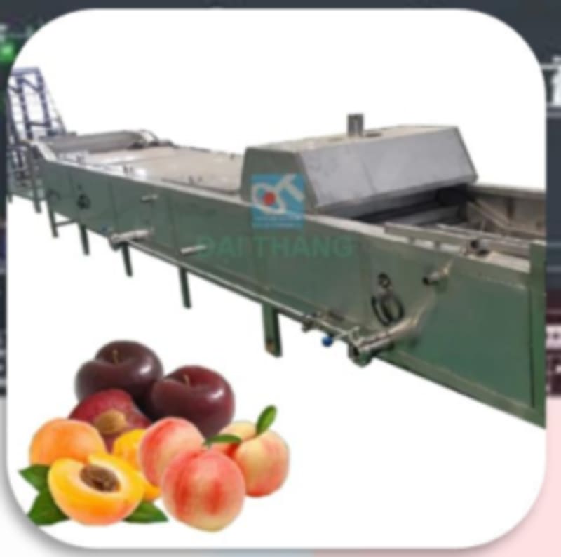 DÂY CHUYỀN SẢN XUẤT MỨT TRÁI CÂY CÔNG NGHIỆP