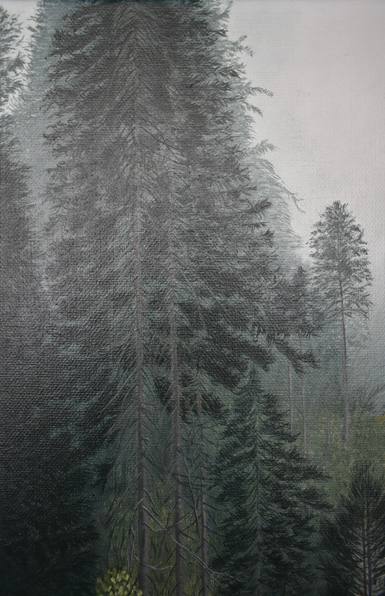 Artwork 5