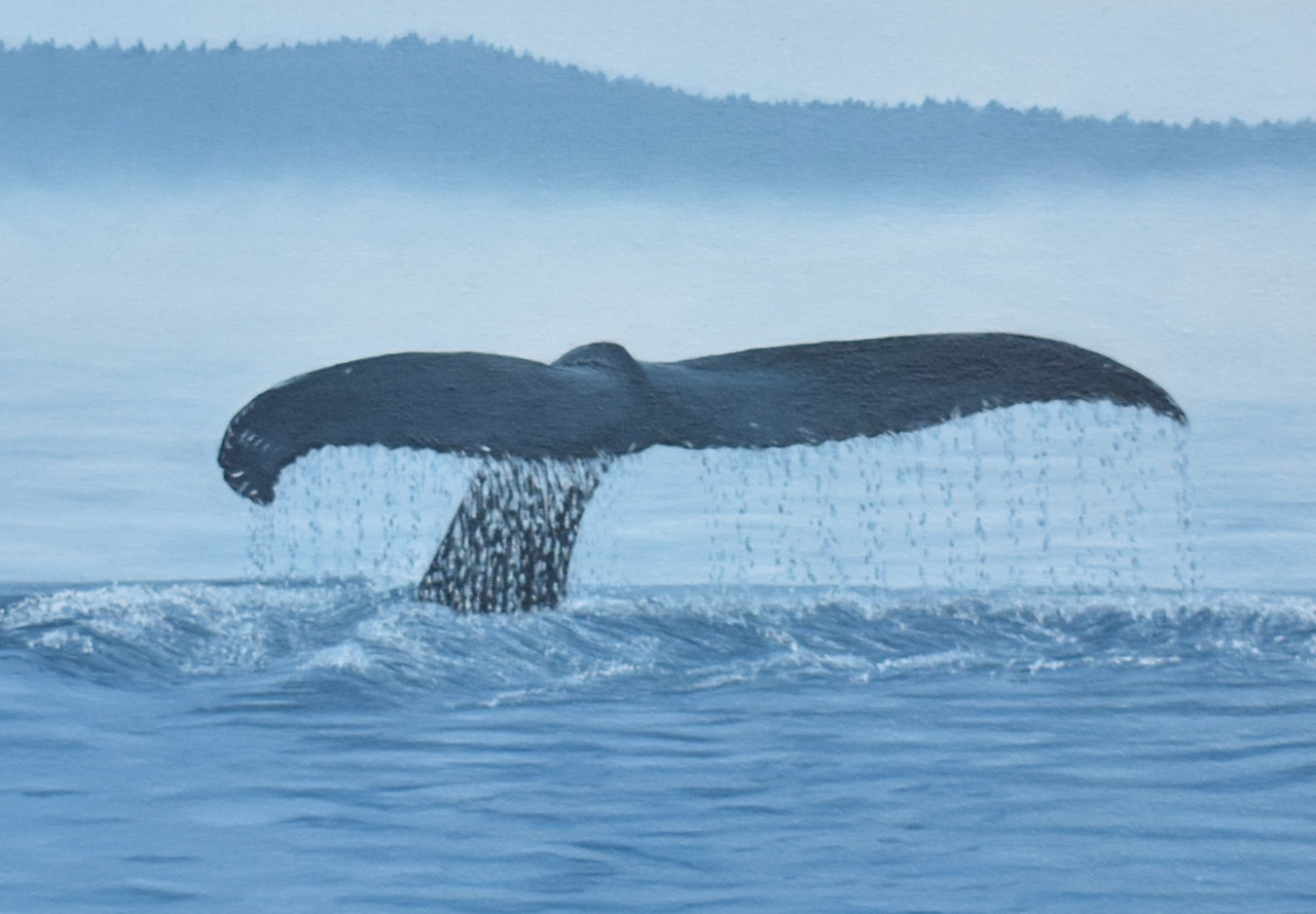 Tail at Dawn