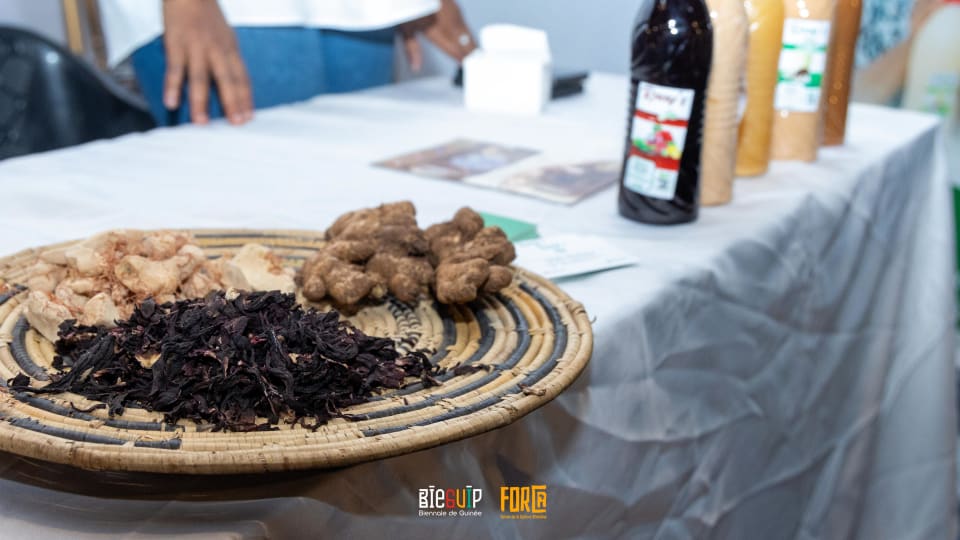 Expo Bieguip
