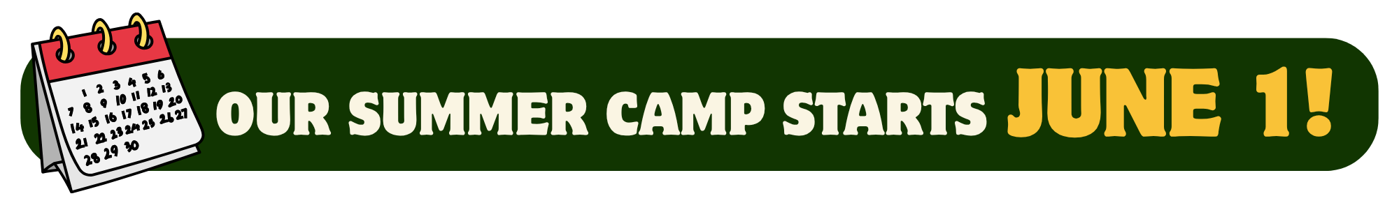 This week summer camp animation highlight