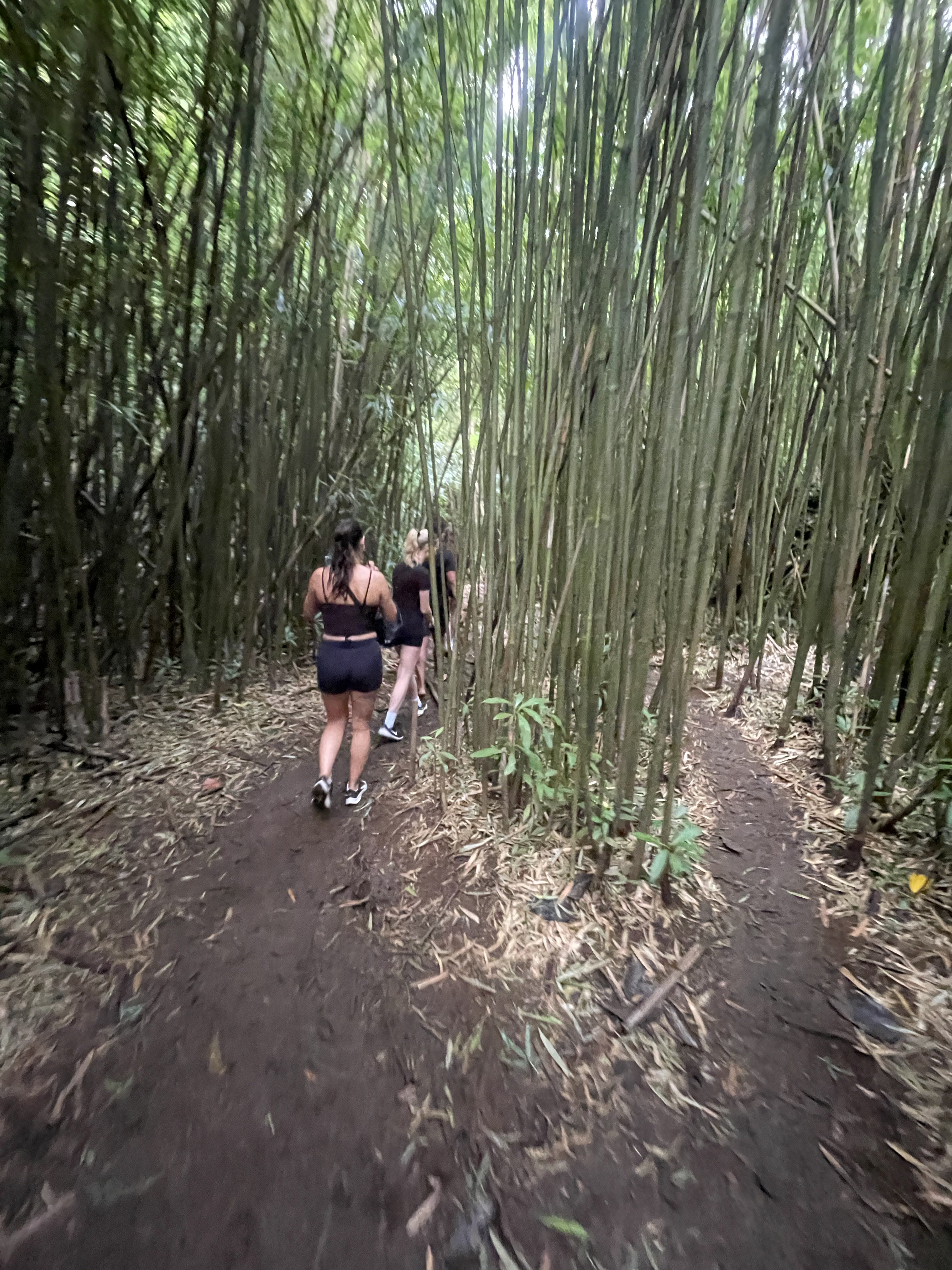 Steilwand am Nuuanu Pali