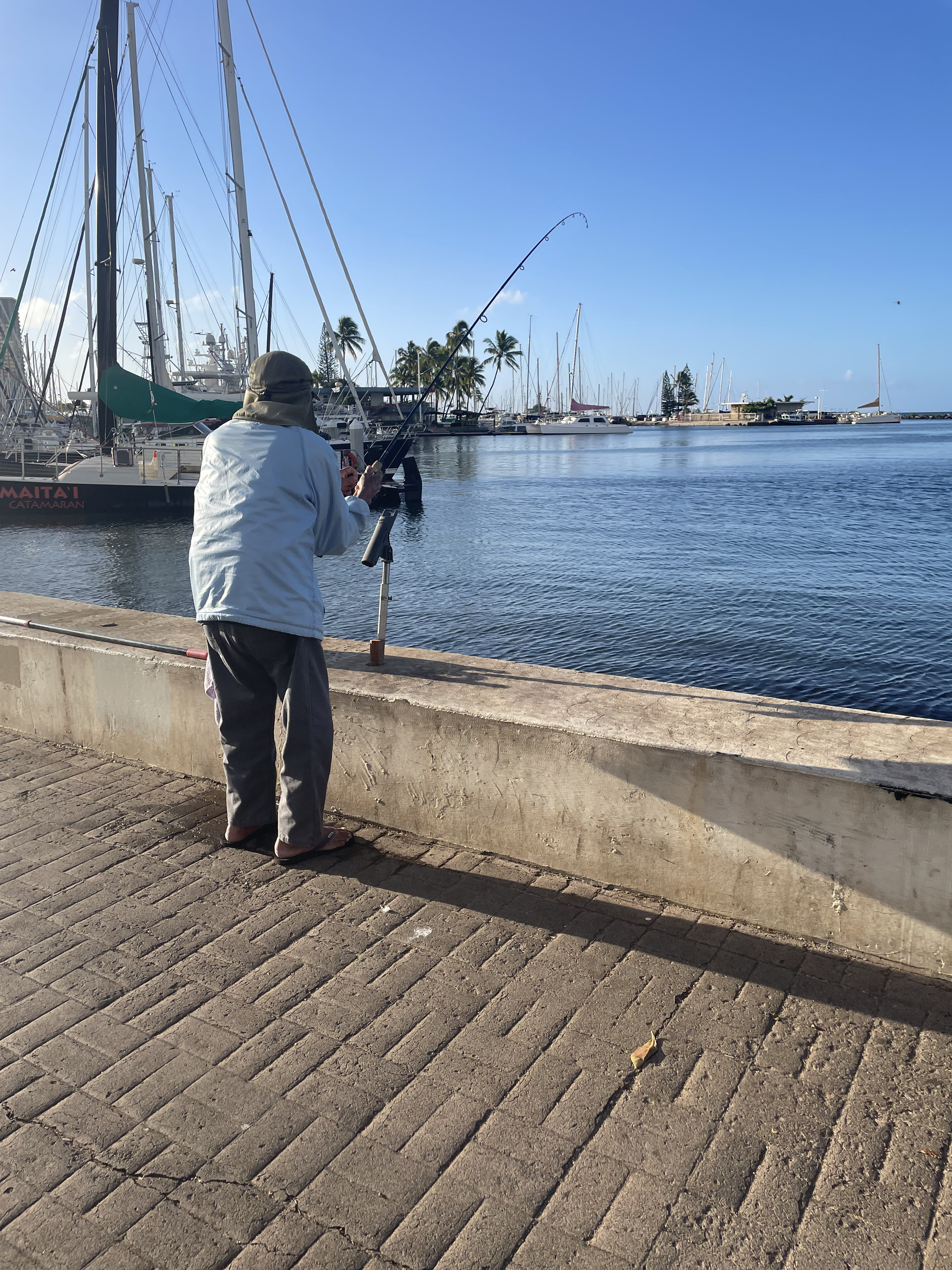 Angler am Ala Wai Canal