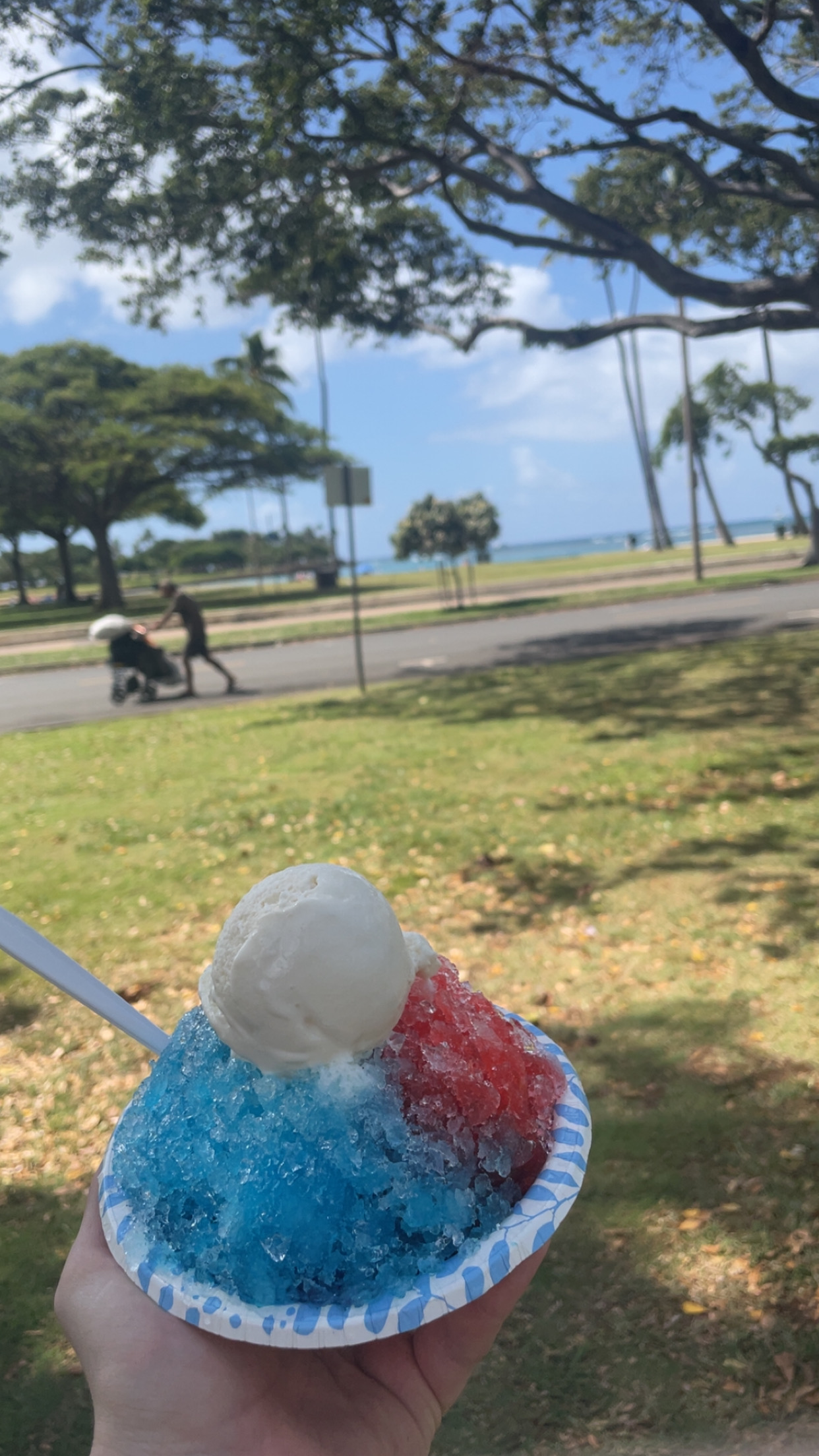 Shaved Ice
