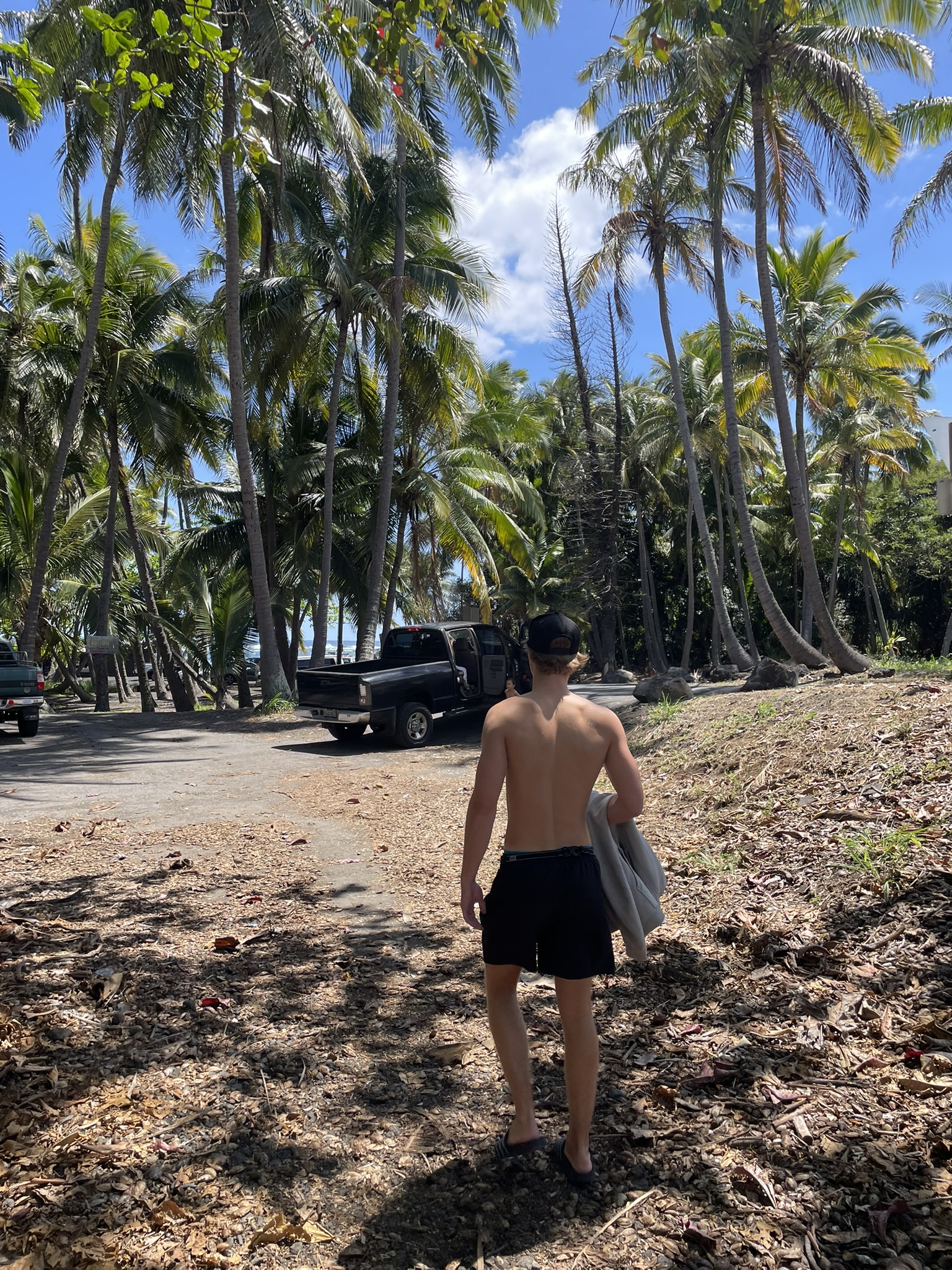 Punalu'u Beach Park – schwarzer Sandstrand mit Palmen