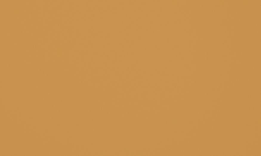 Giallo Canary