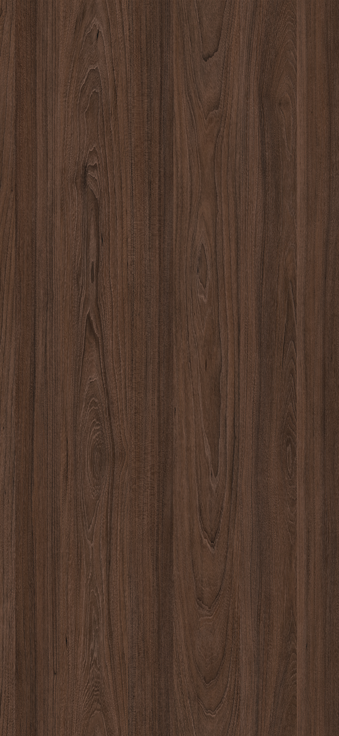 Arpa - 4548 Olmo Scuro