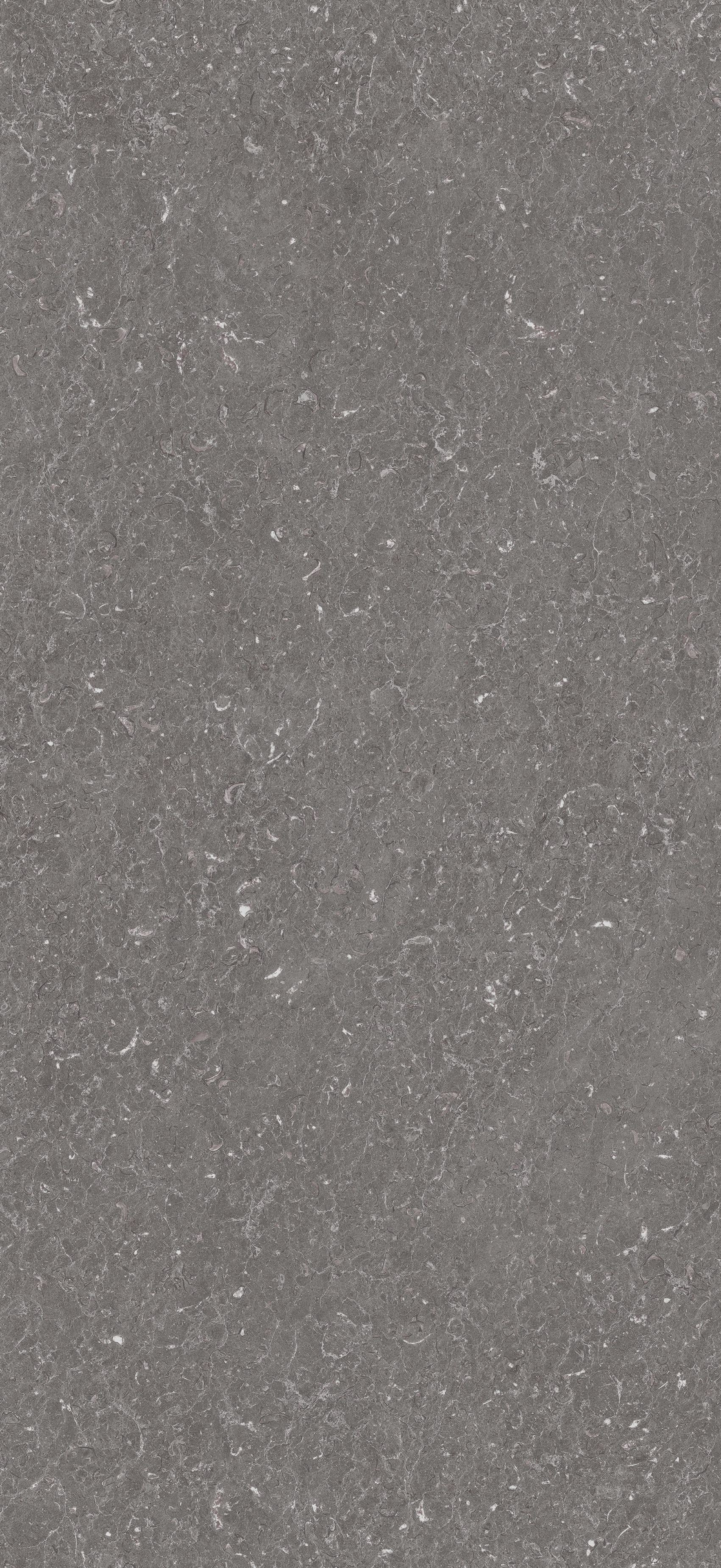Arpa - 3516 Dark Shell