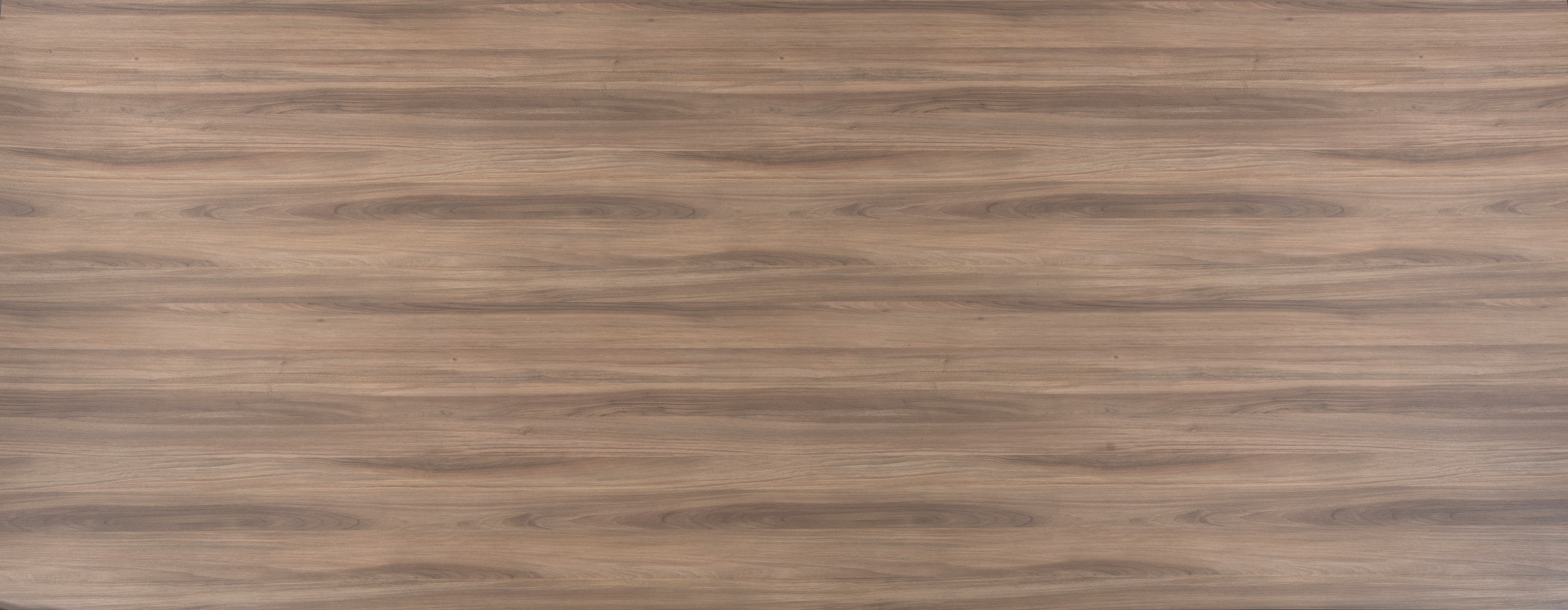 Arpa - 4625 Noce Sinfonia