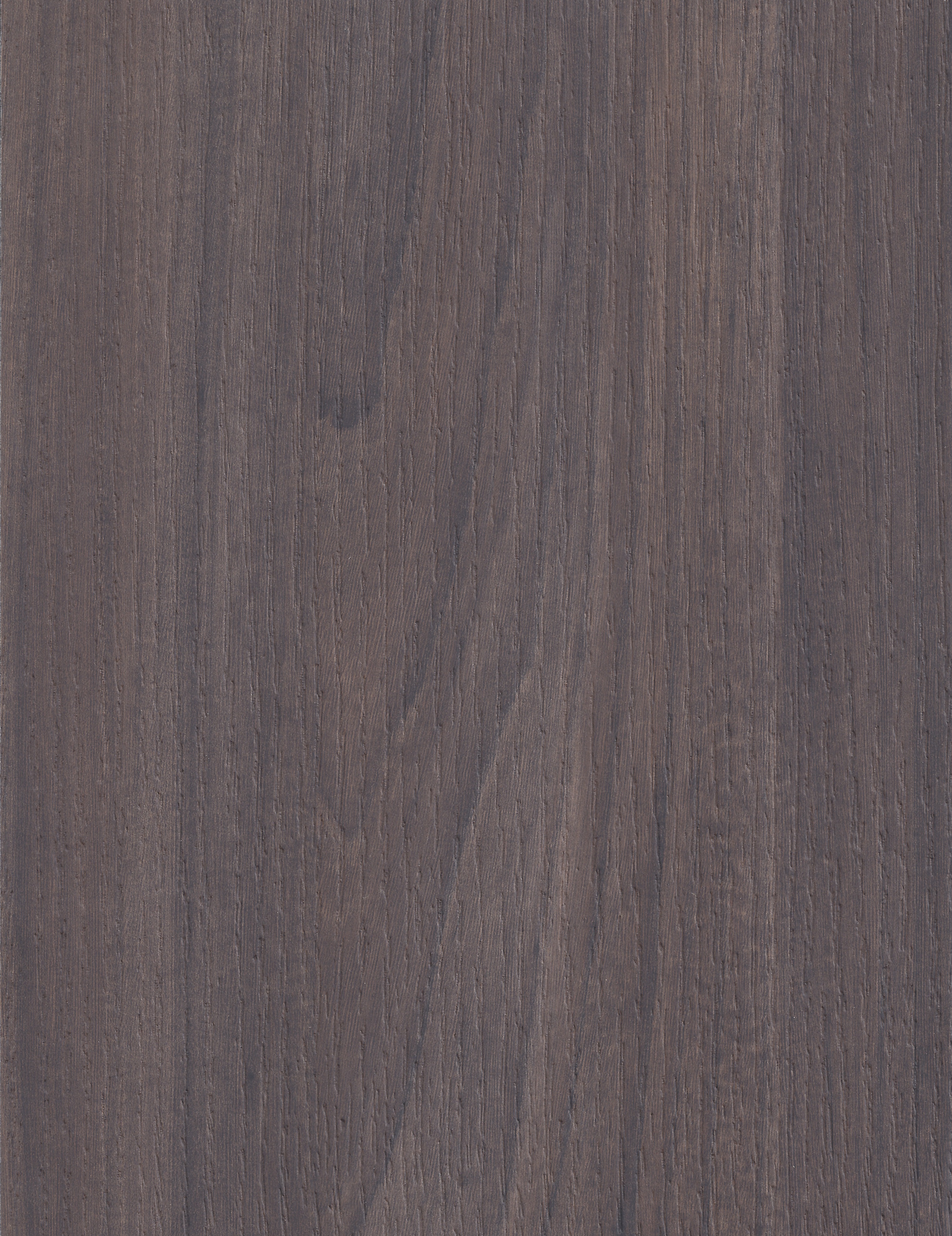Arpa - 4548 Olmo Scuro