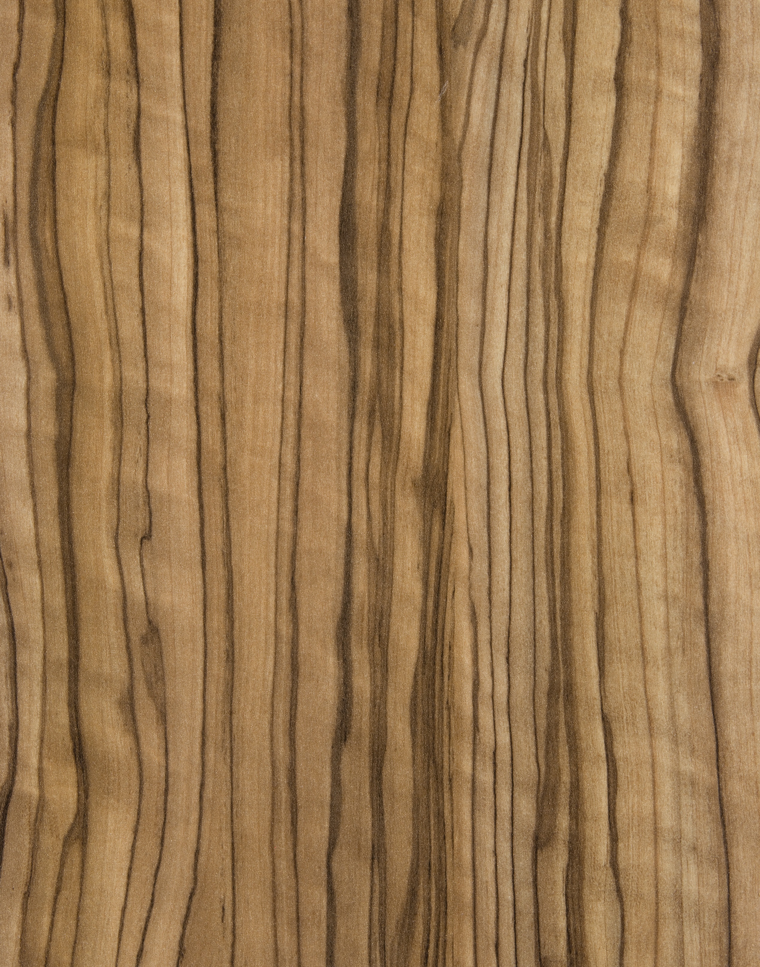 Arpa - 4479 Ulivo Taggia