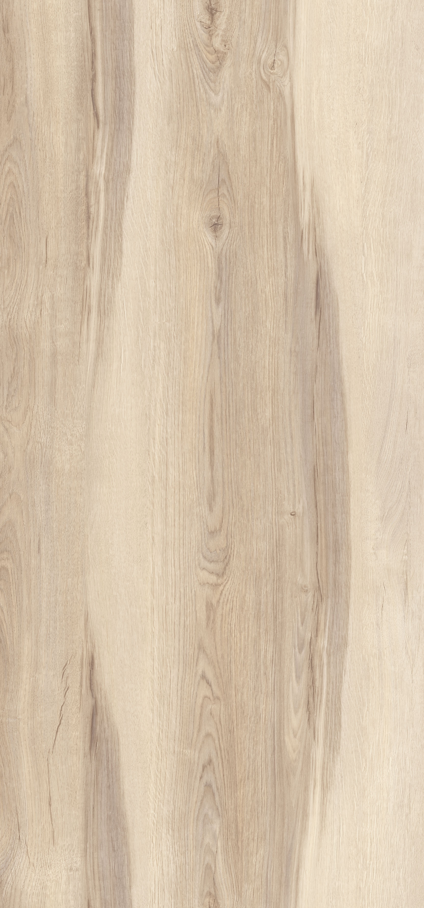 Arpa - 4584 Rovere Wafer