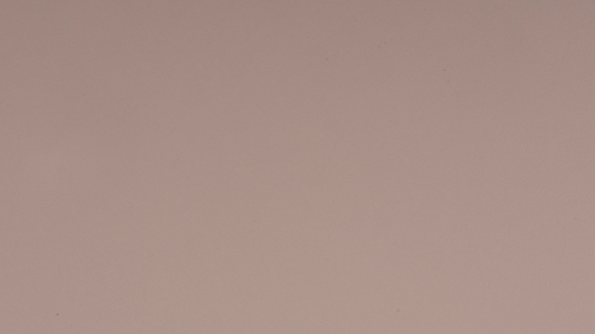 Arpa - 0275 Rosa Bourbon