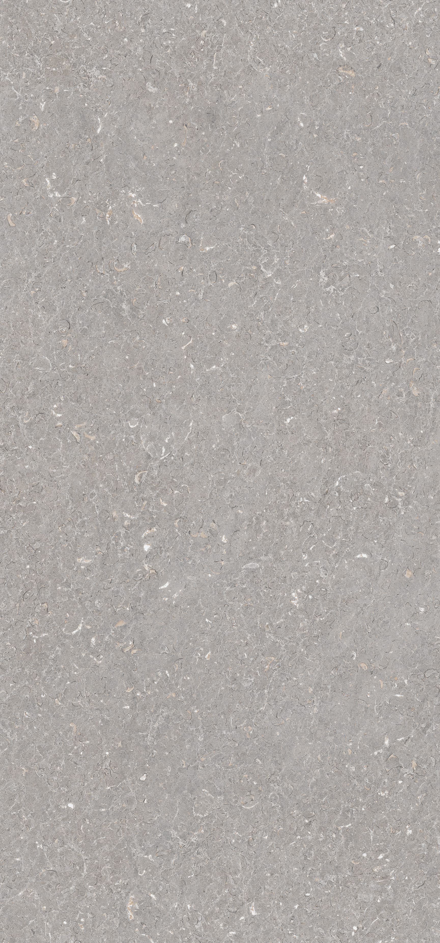 Arpa - 3515 Light Shell