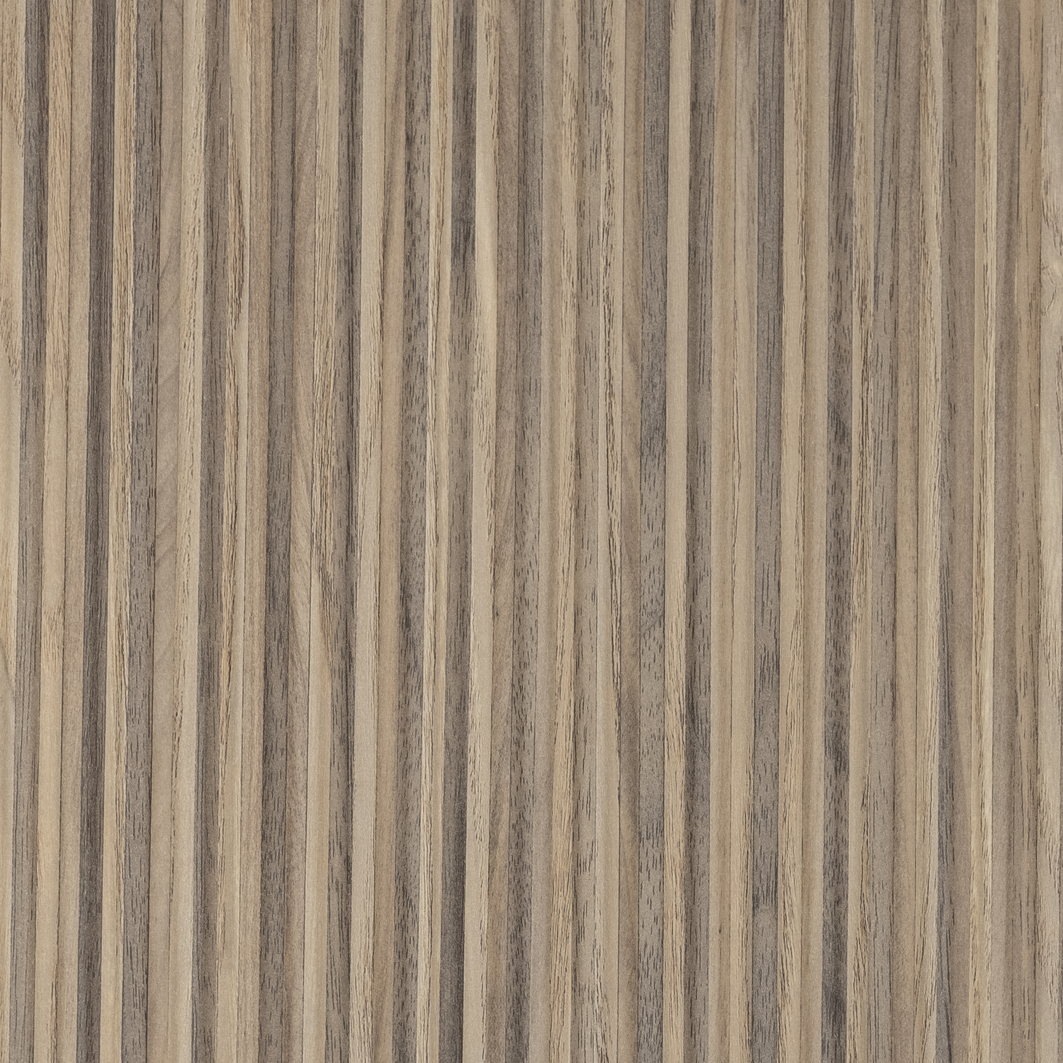 Arpa - 4644 Caravella Light