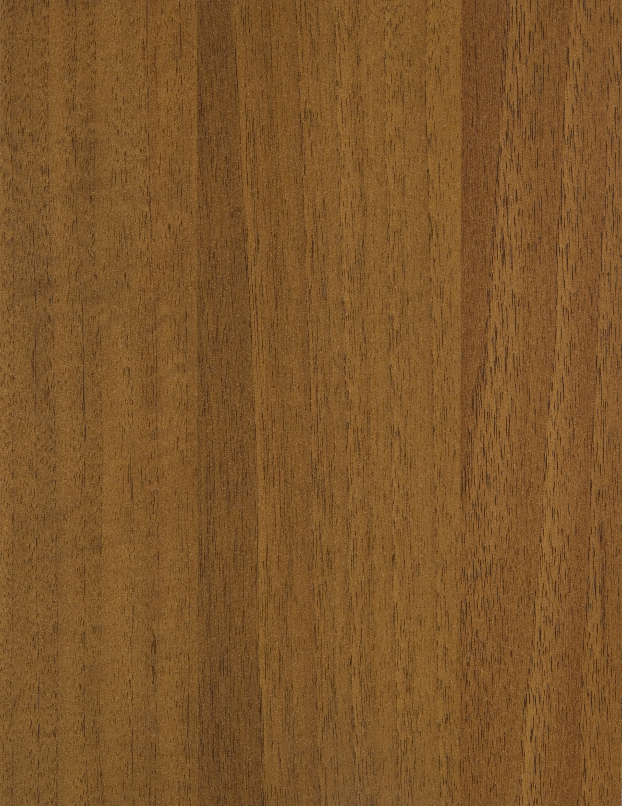 Arpa - 1886 Noce Guarnieri Scuro