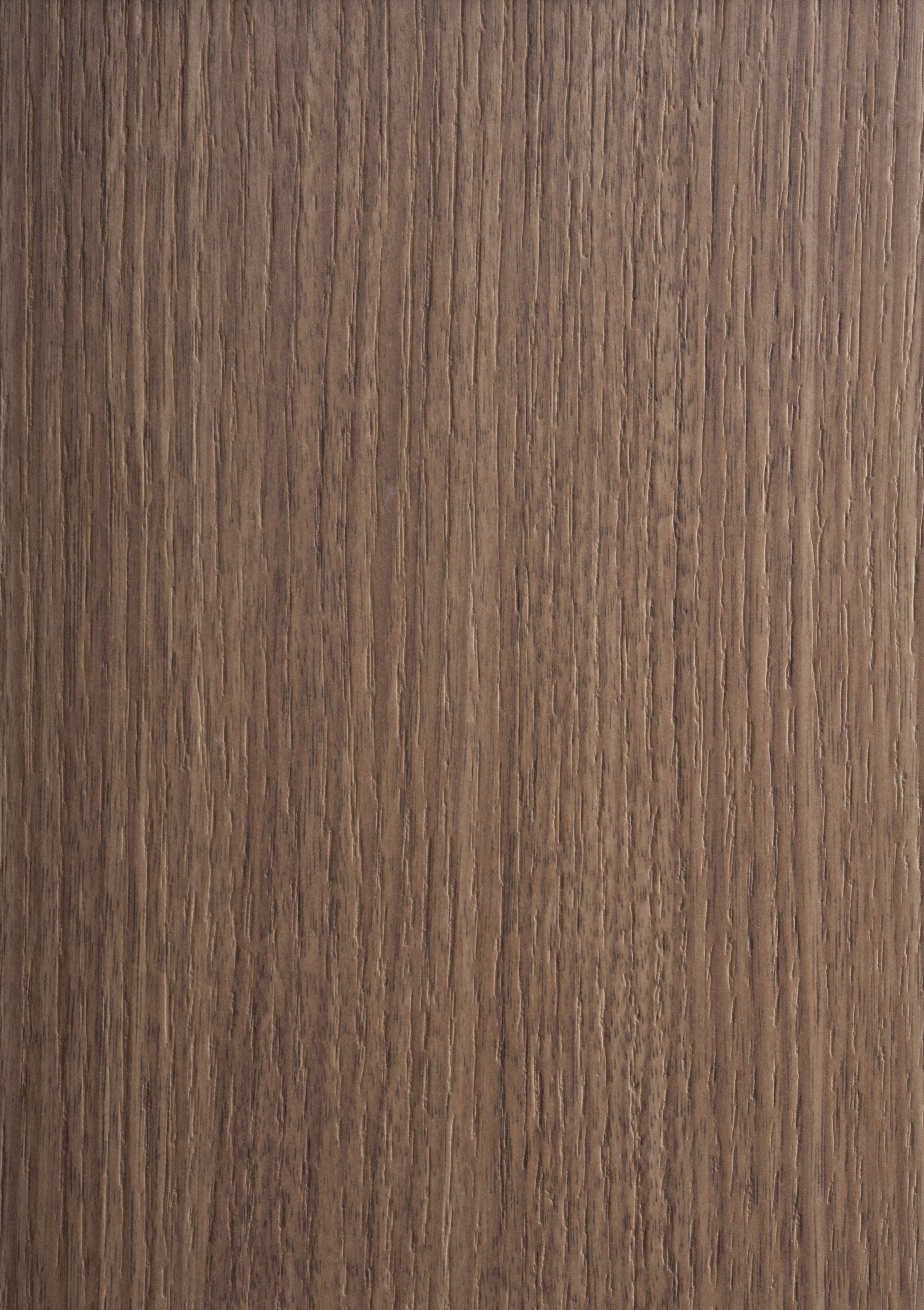Arpa - 4537 Canaletto Naturale