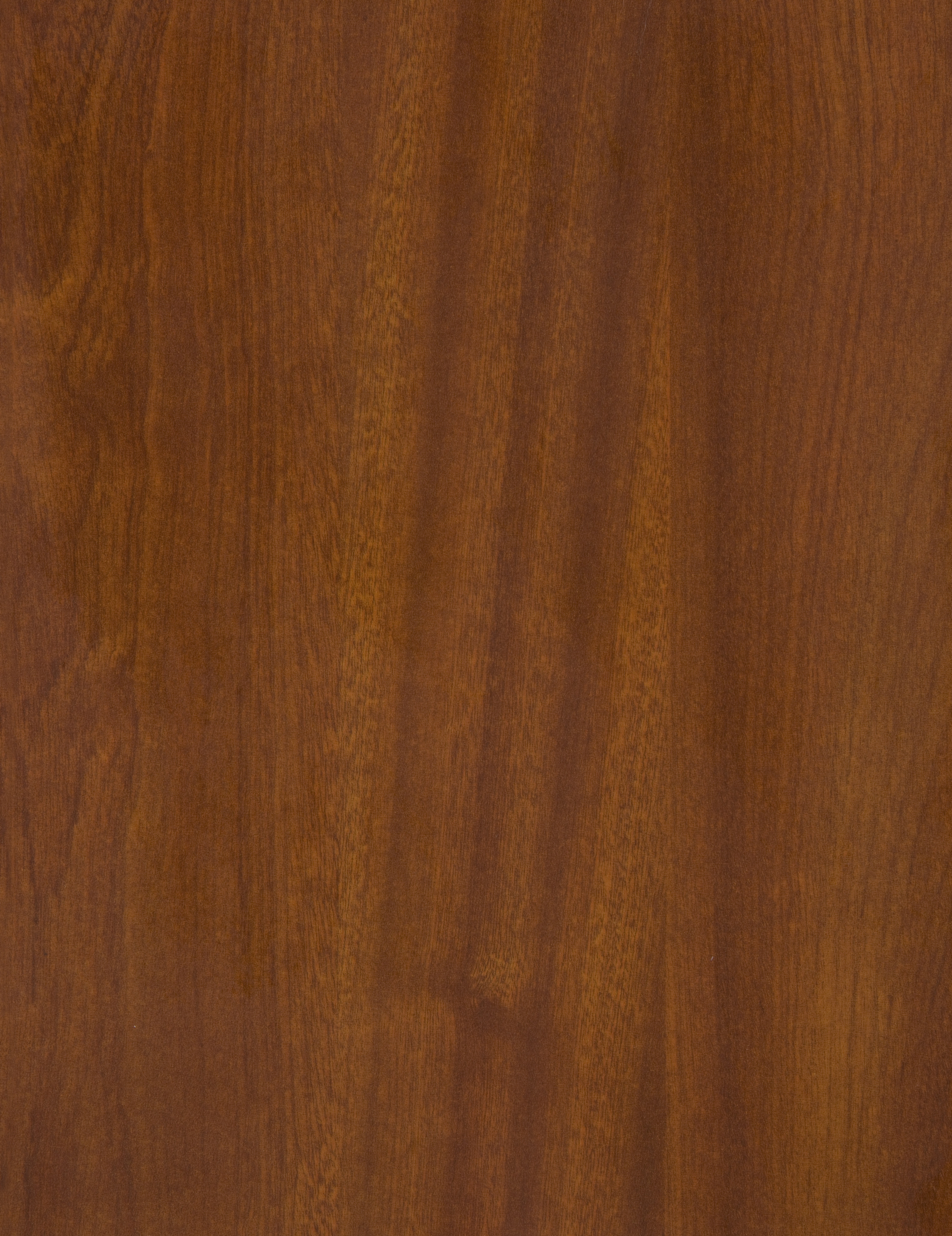 Arpa - 4123 Mogano Amazzonia