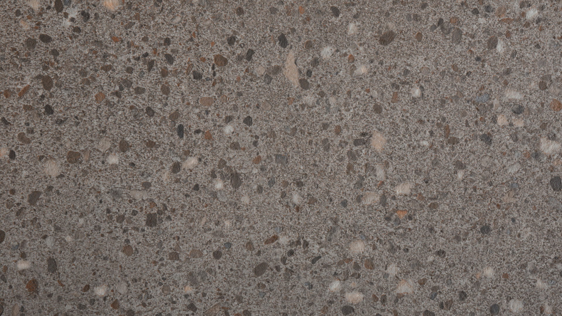 Arpa - 3379 Atena Grigio