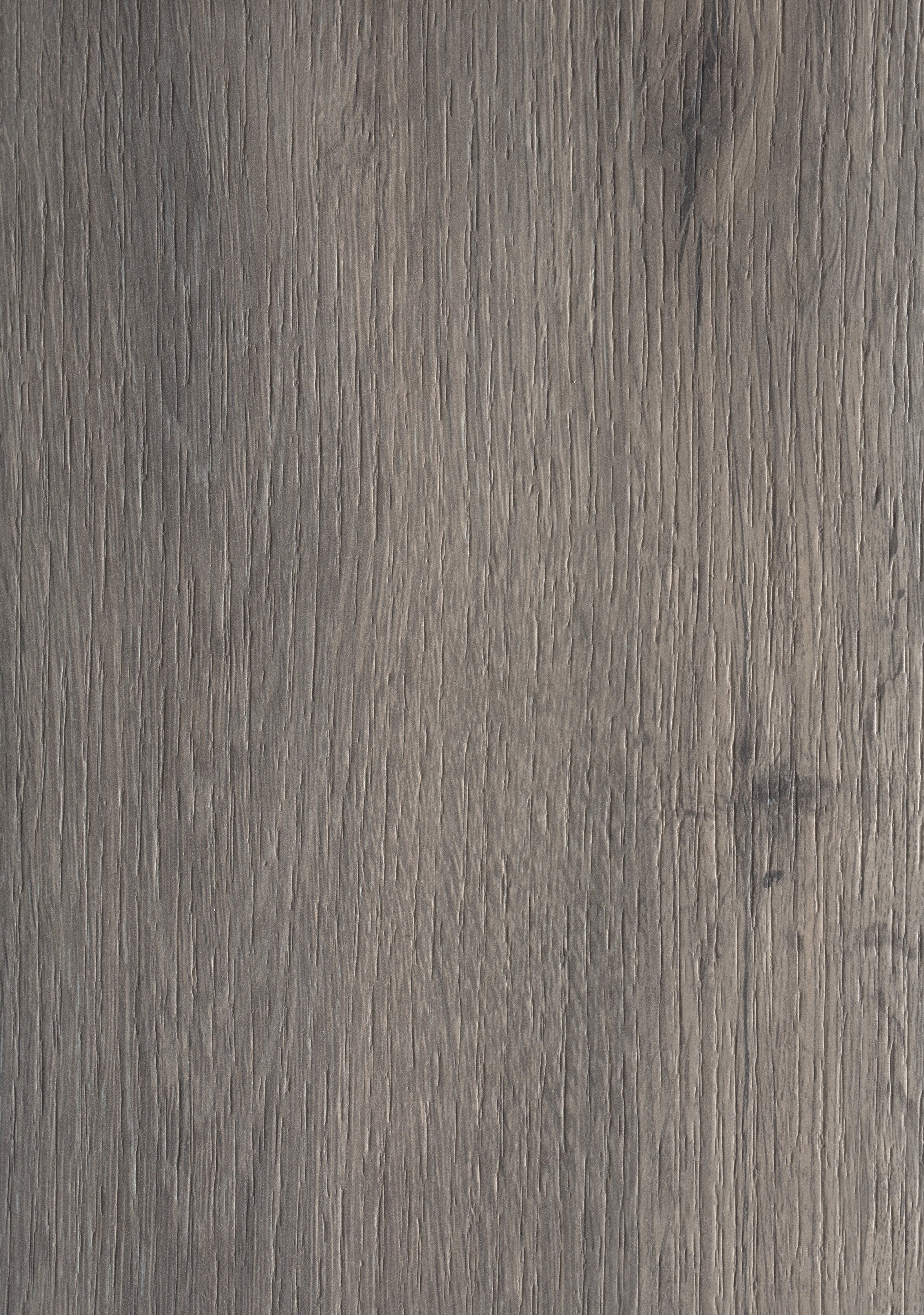 Arpa - 4586 Rovere Texas